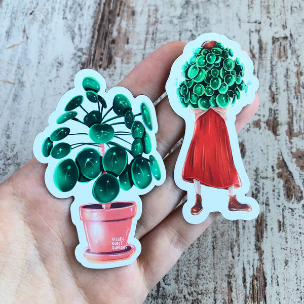 Magnet - Pilea peperomioides Mädchen - wearequiethumans