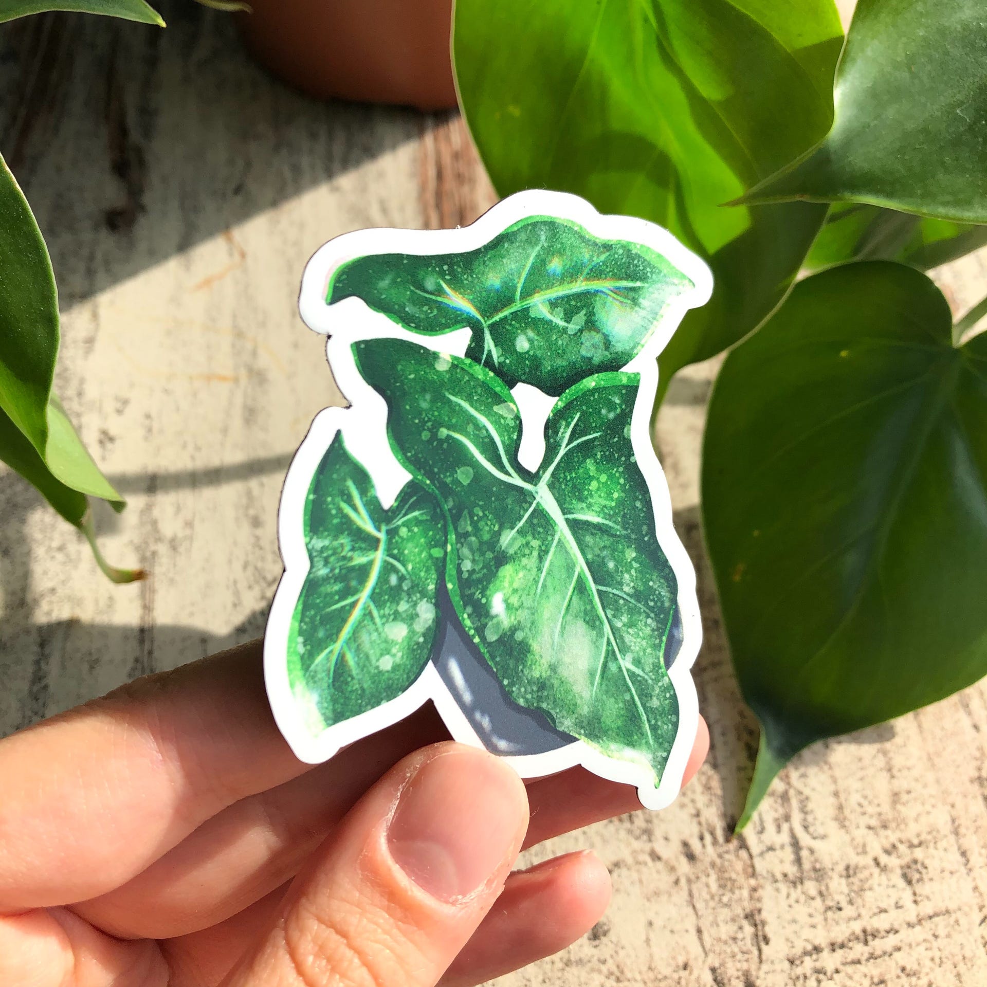 Magnet -  Syngonium mottled - wearequiethumans
