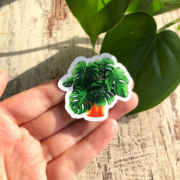 Magnet - Monstera deliciosa mit Gesicht - wearequiethumans