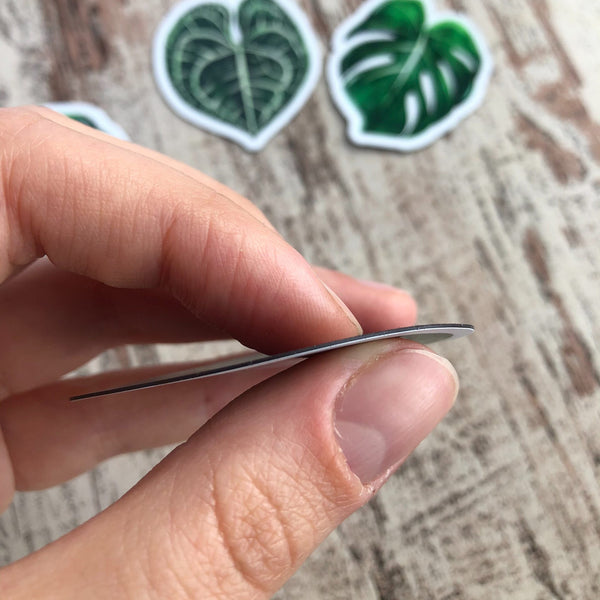 Magnet - Monstera deliciosa mit Gesicht - wearequiethumans