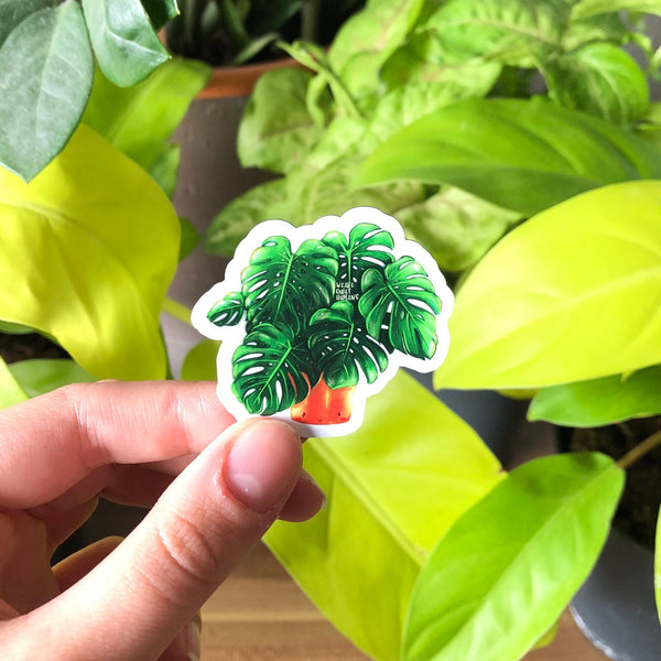 Magnet - Monstera deliciosa mit Gesicht - wearequiethumans