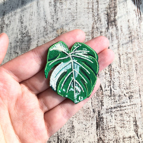 Monstera variegata Patch - zum Aufnähen oder Aufbügeln - wearequiethumans