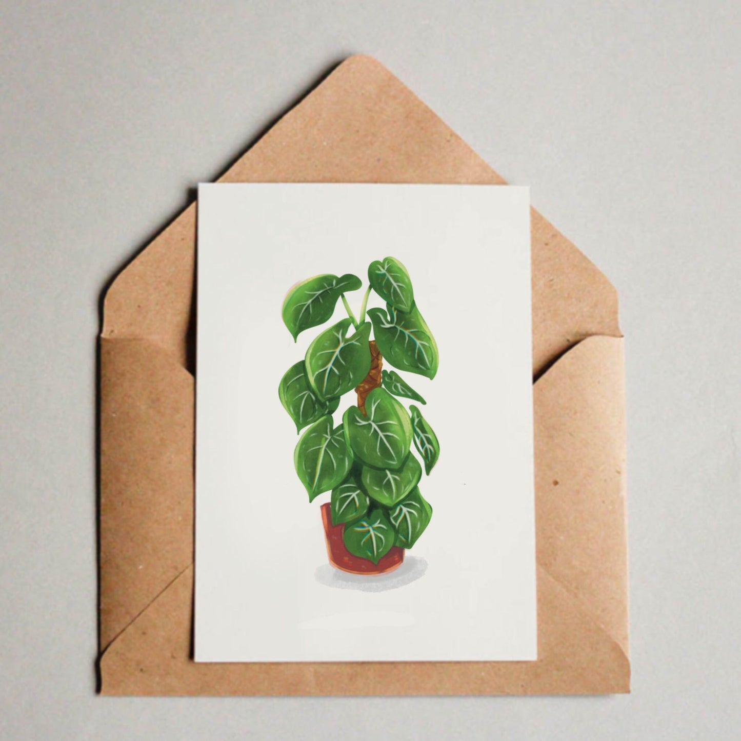 Postkarte / A6 Print - Syngonium Frosted Heart - wearequiethumans