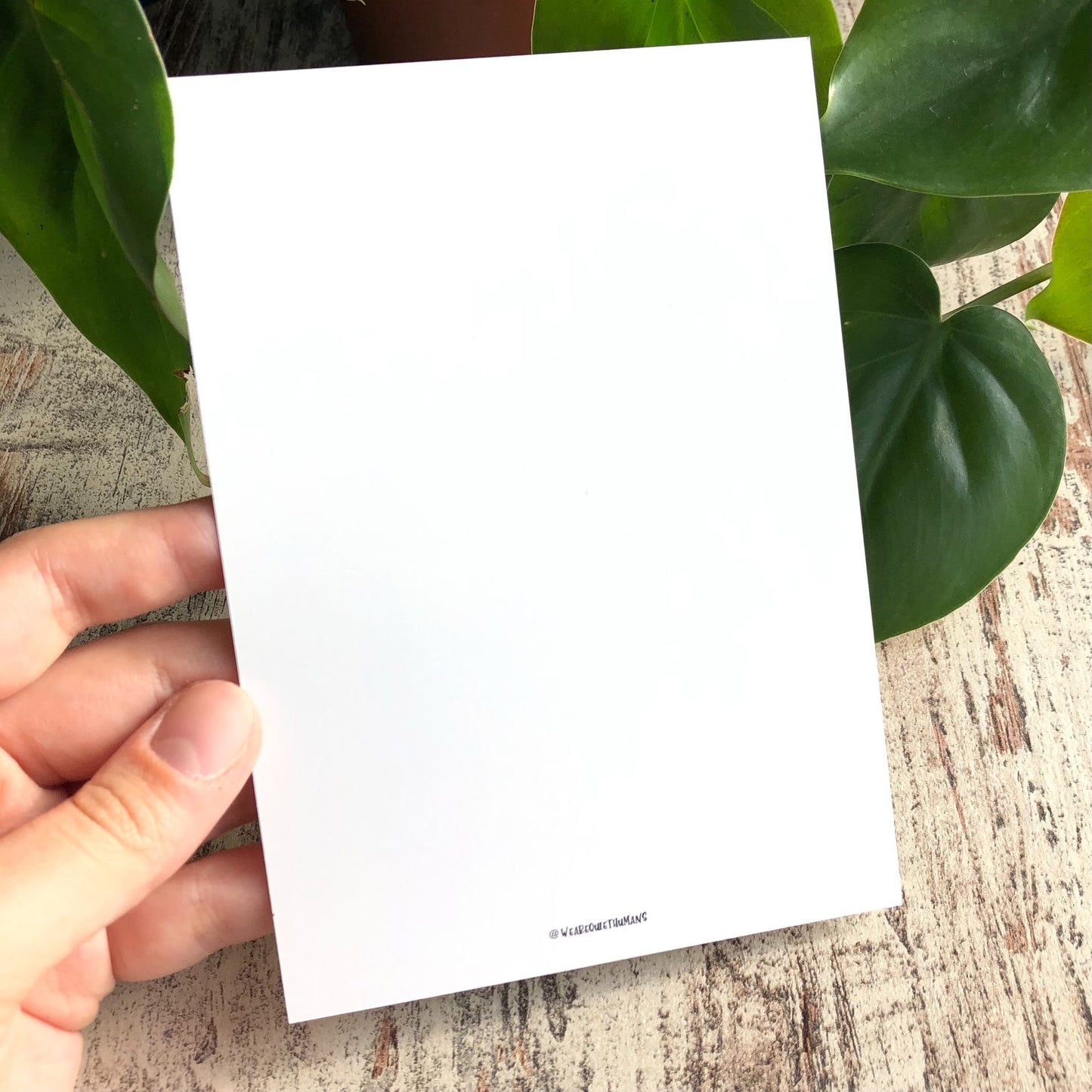Postkarte / A6 Print - Syngonium Frosted Heart - wearequiethumans