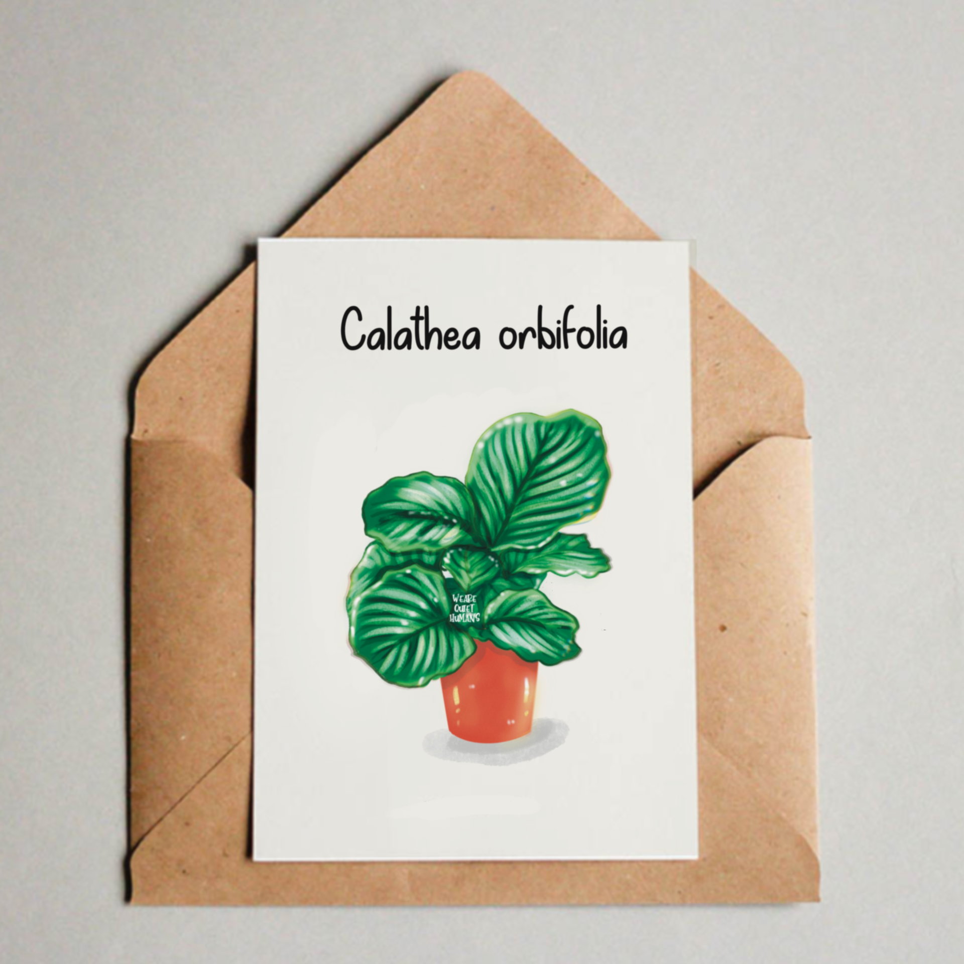 Postkarte / A6 Print - Calathea Orbifolia - wearequiethumans