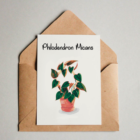 Postkarte / A6 Print - Philodendron Micans - wearequiethumans