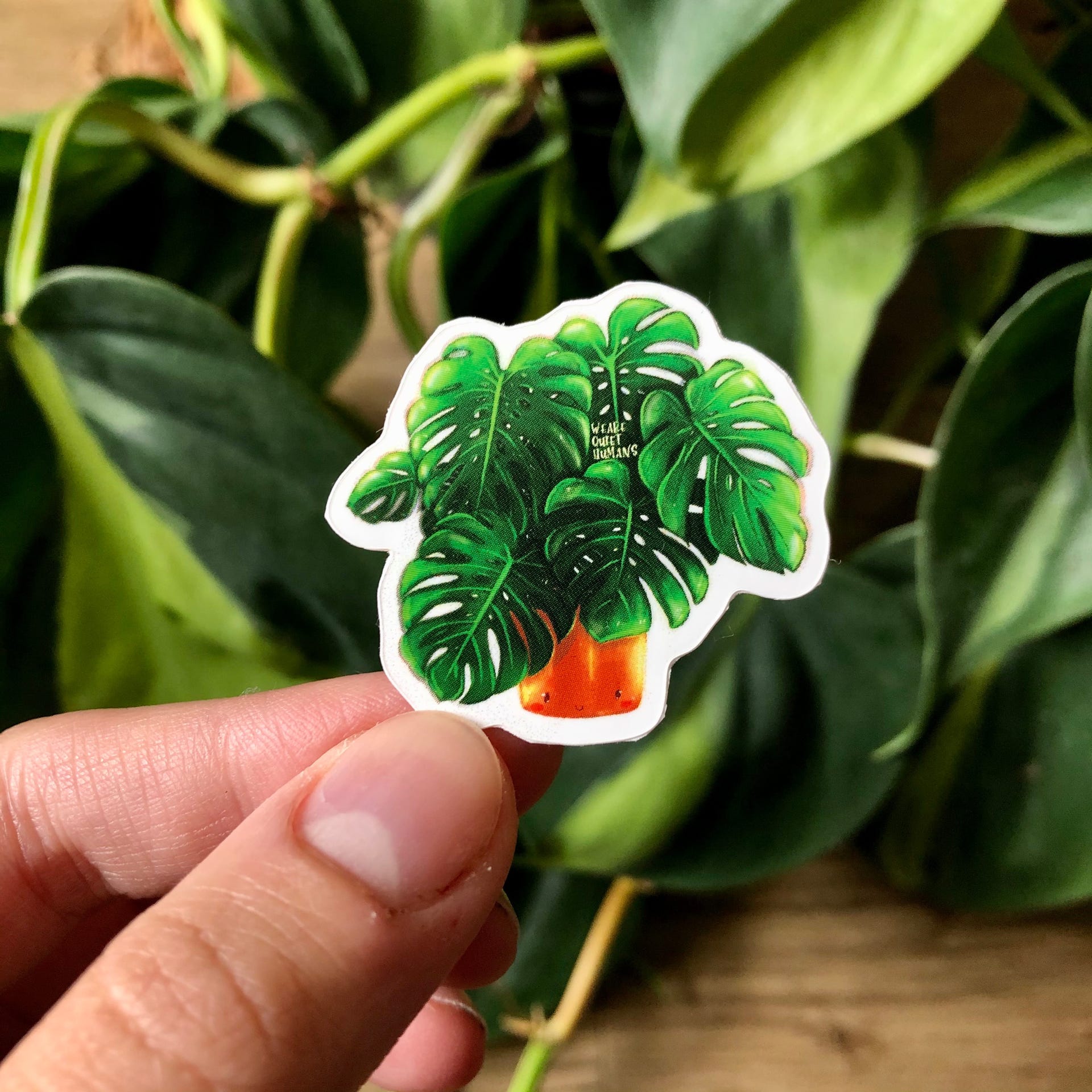 Sticker - Monstera deliciosa mit Gesicht - wearequiethumans