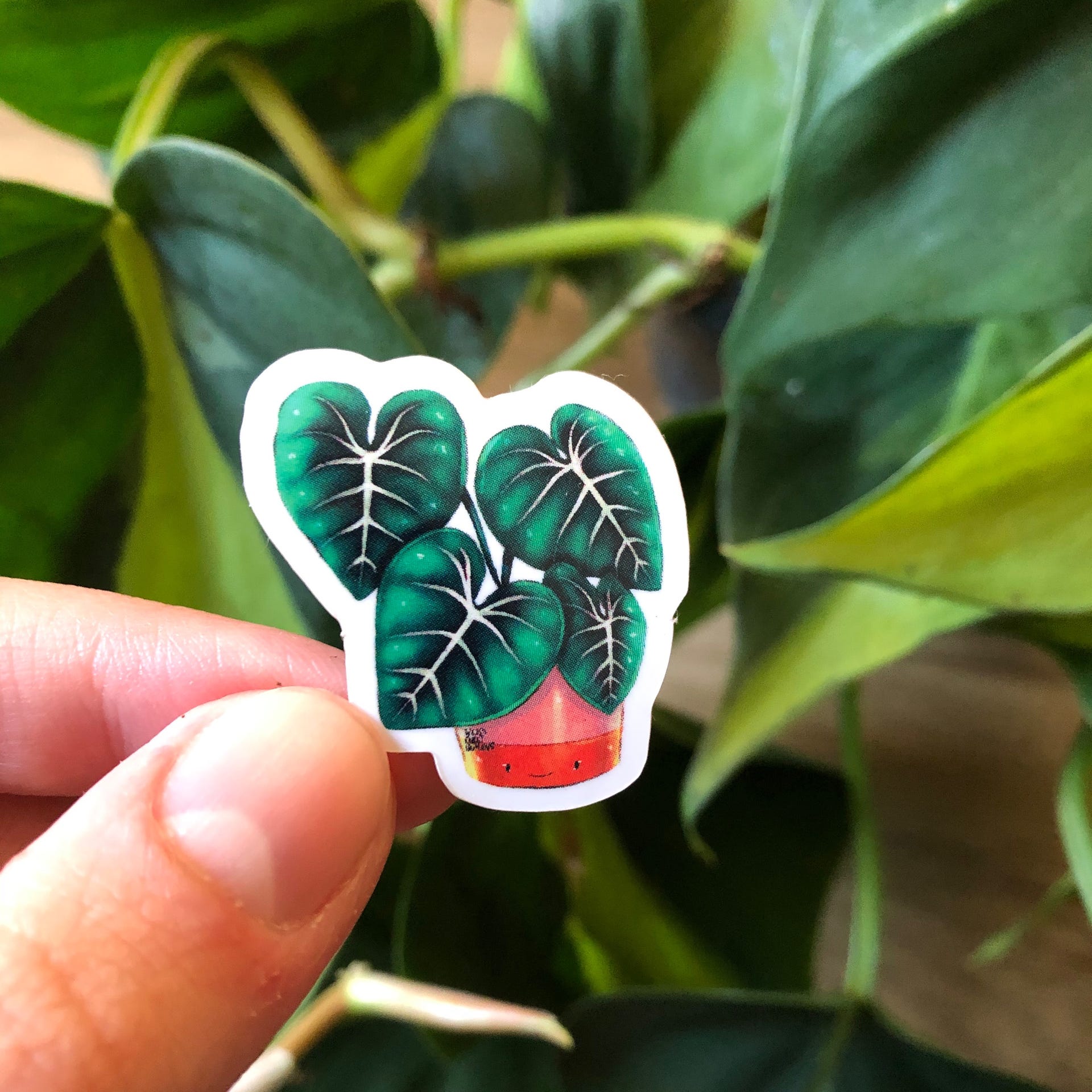 Sticker - Philodendron Gloriosum mit Gesicht - wearequiethumans