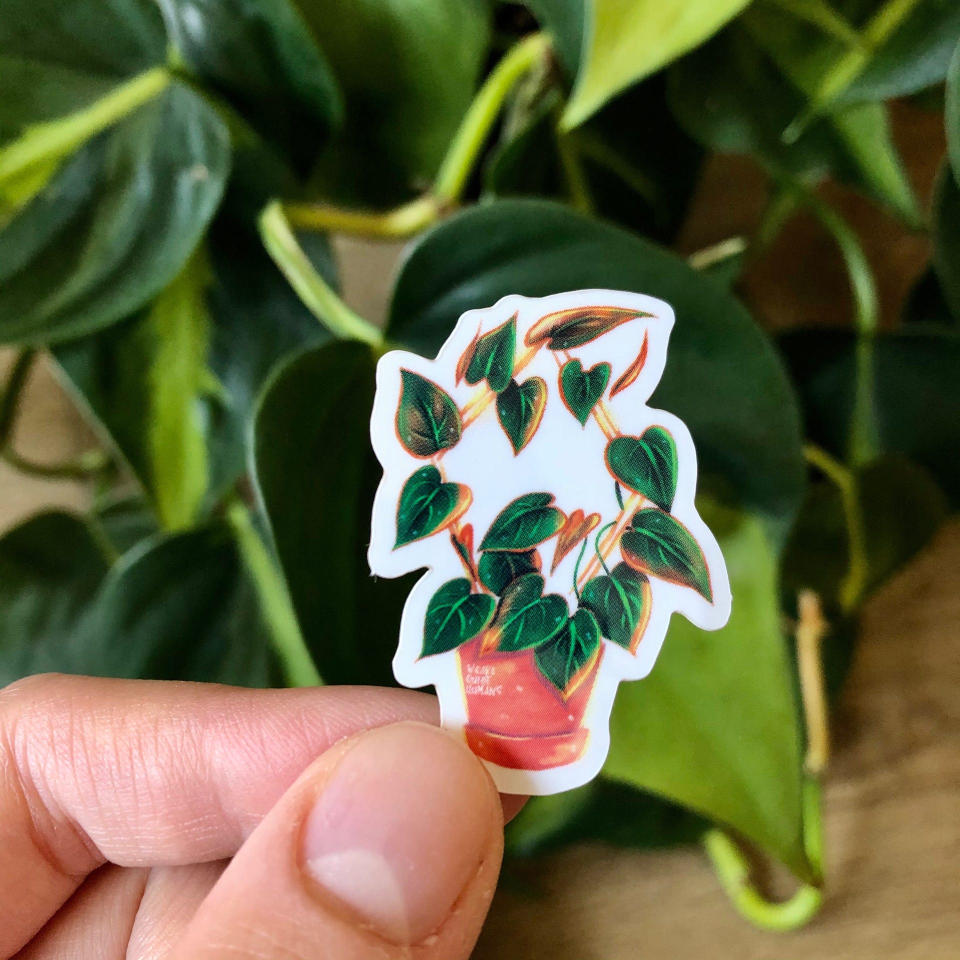 Sticker - Philodendron Micans - wearequiethumans