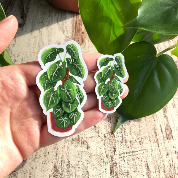Magnet -  Syngonium frosted heart - wearequiethumans
