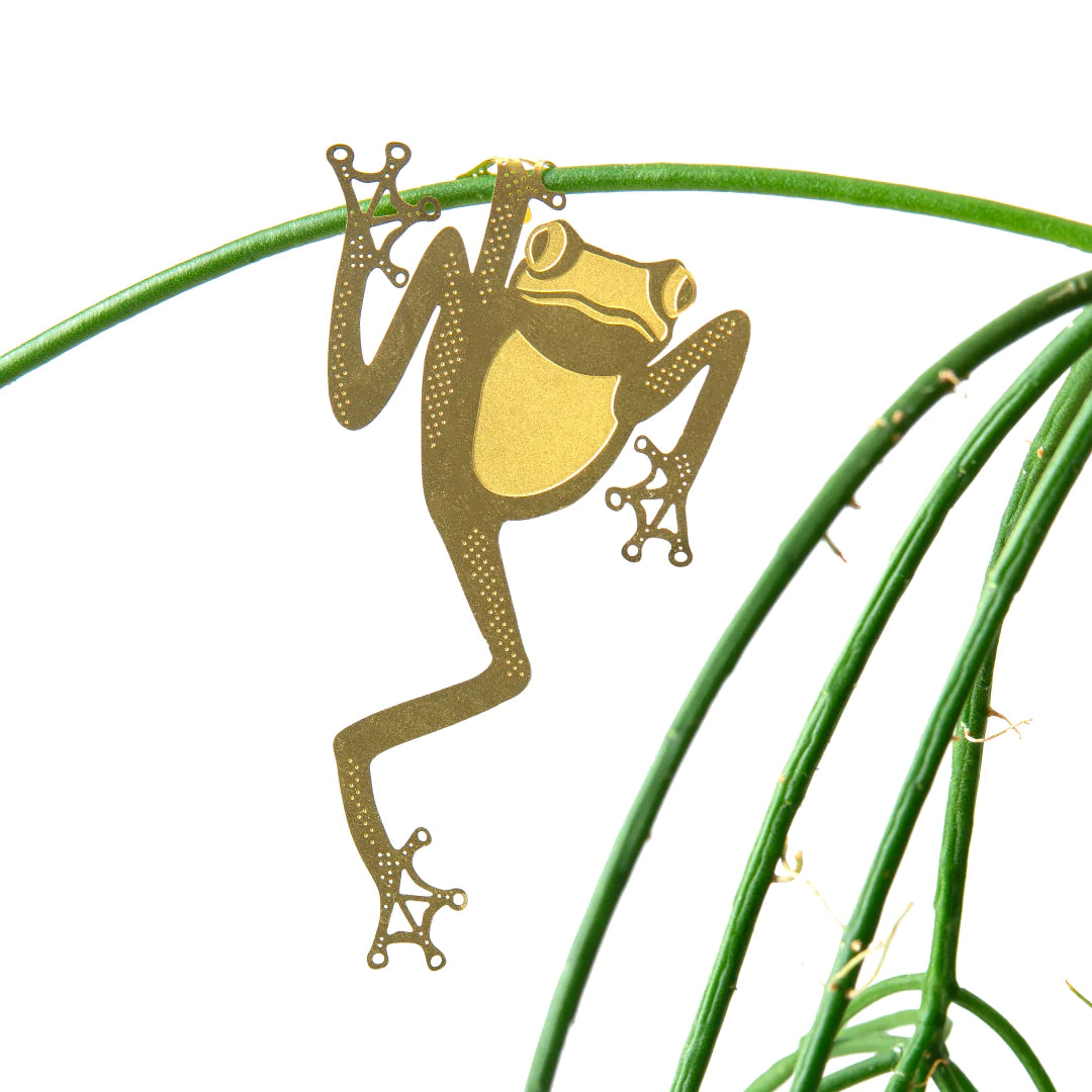 PLANT ANIMAL – Frosch | Another Studio